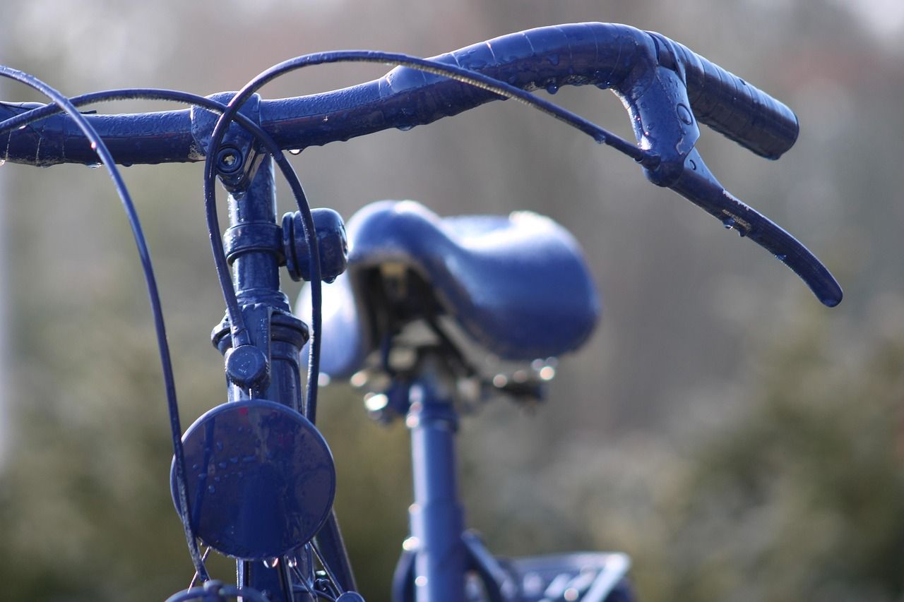découvrez le concept de climate cycling, une approche innovante pour comprendre et agir face aux changements climatiques grâce à des cycles durables et adaptés.