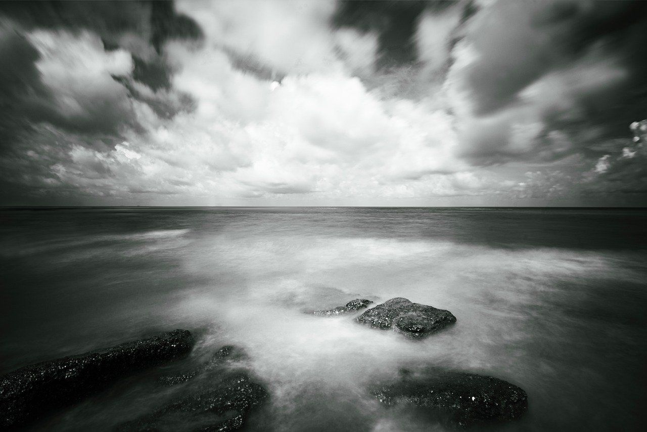 découvrez l'art de la photographie à travers des conseils, techniques et inspirations pour capturer des images exceptionnelles.