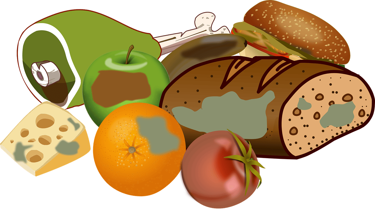 découvrez les causes et solutions pour réduire le gaspillage alimentaire et adopter des pratiques durables au quotidien.