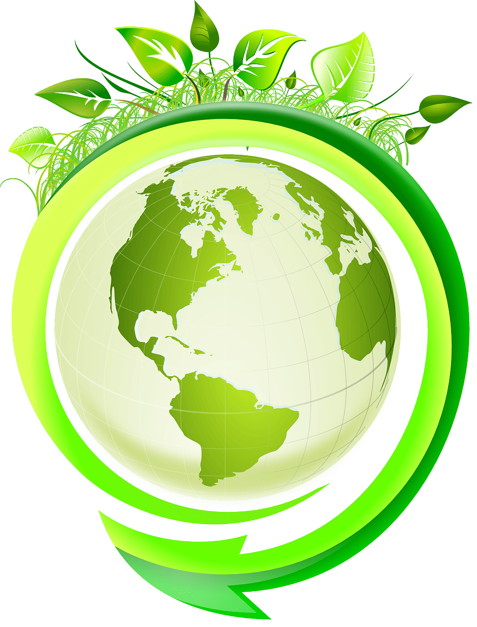 découvrez l'écologie, une science essentielle qui étudie les interactions entre les organismes vivants et leur environnement. apprenez comment protéger notre planète et promouvoir un développement durable grâce à des actions écologiques.