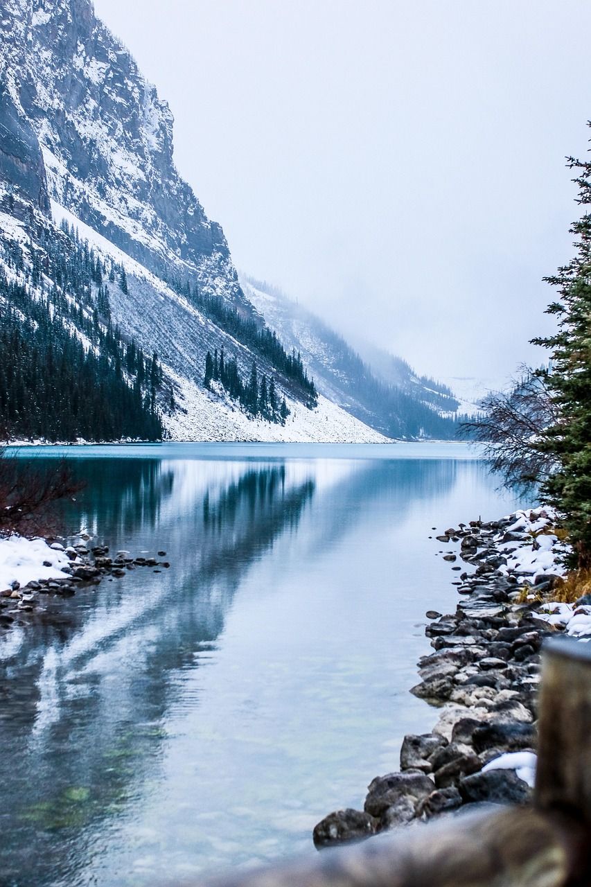découvrez les stratégies climatiques des fonds de pension canadiens pour un investissement durable et responsable face aux enjeux environnementaux.
