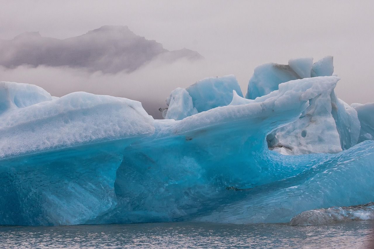 découvrez l'importance de la journée de la terre, un événement mondial dédié à la sensibilisation à la protection de notre planète. participez à des initiatives écologiques, apprenez à réduire votre empreinte carbone et célébrons ensemble notre précieux environnement.