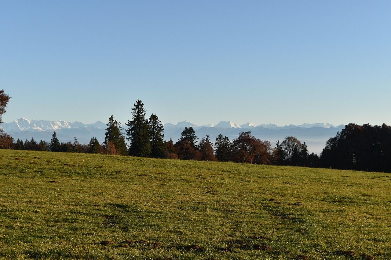 découvrez mountainous law, une plateforme spécialisée dans le droit des zones montagneuses, offrant conseils juridiques et ressources pour protéger les environnements alpins et soutenir les communautés locales.