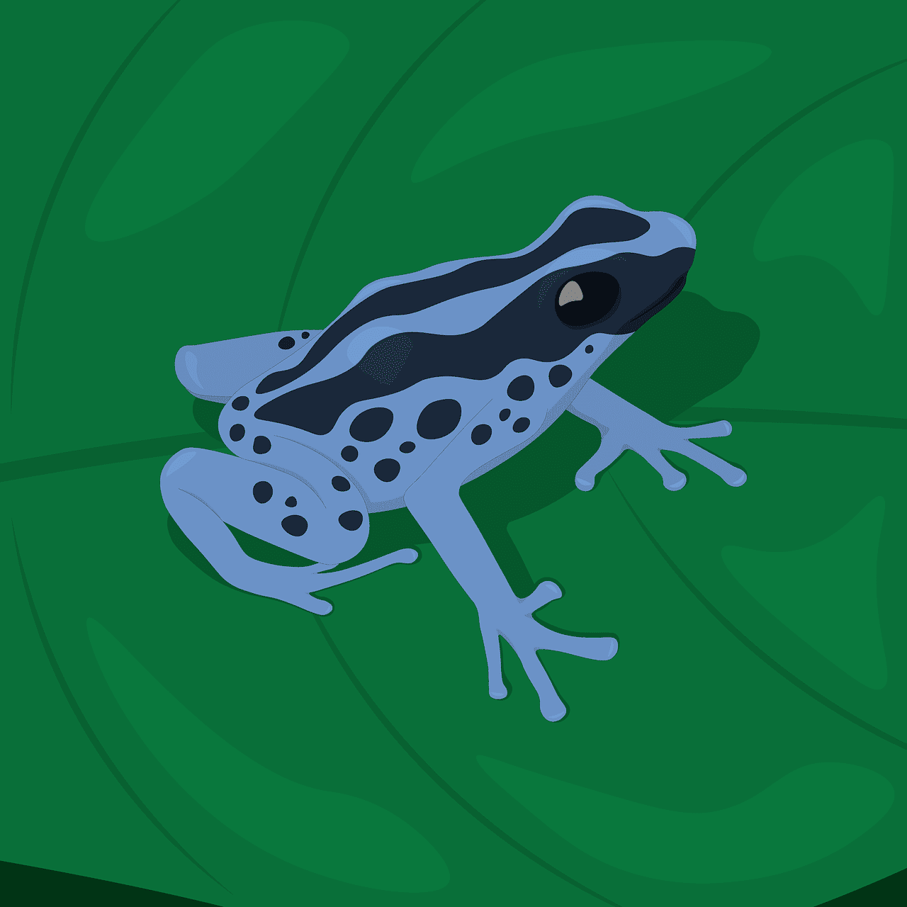 découvrez l'importance de la biodiversité, clé de l'équilibre des écosystèmes et de la richesse naturelle de notre planète.