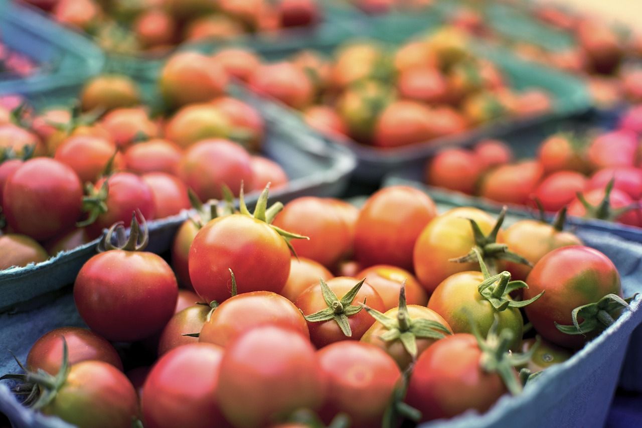 découvrez les tendances et opportunités des marchés agricoles. analyse des prix, produits, et innovations dans le secteur agro-alimentaire pour optimiser vos décisions d'achat et de vente. restez informé sur l'évolution des marchés agricoles pour maximiser vos profits.