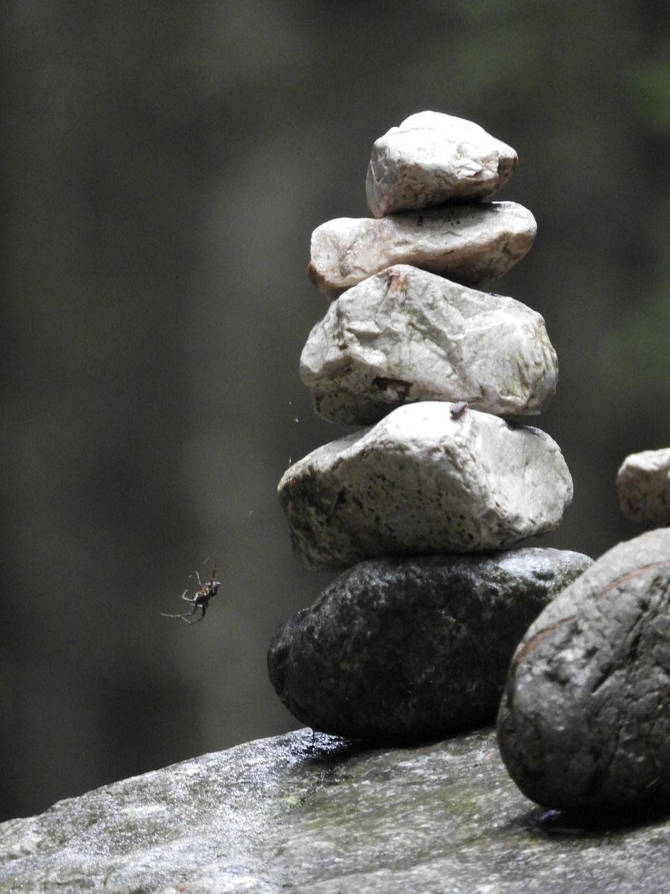 découvrez l'importance de la stabilité dans divers domaines, de la finance à la technologie, pour assurer un équilibre durable et une croissance sécurisée.