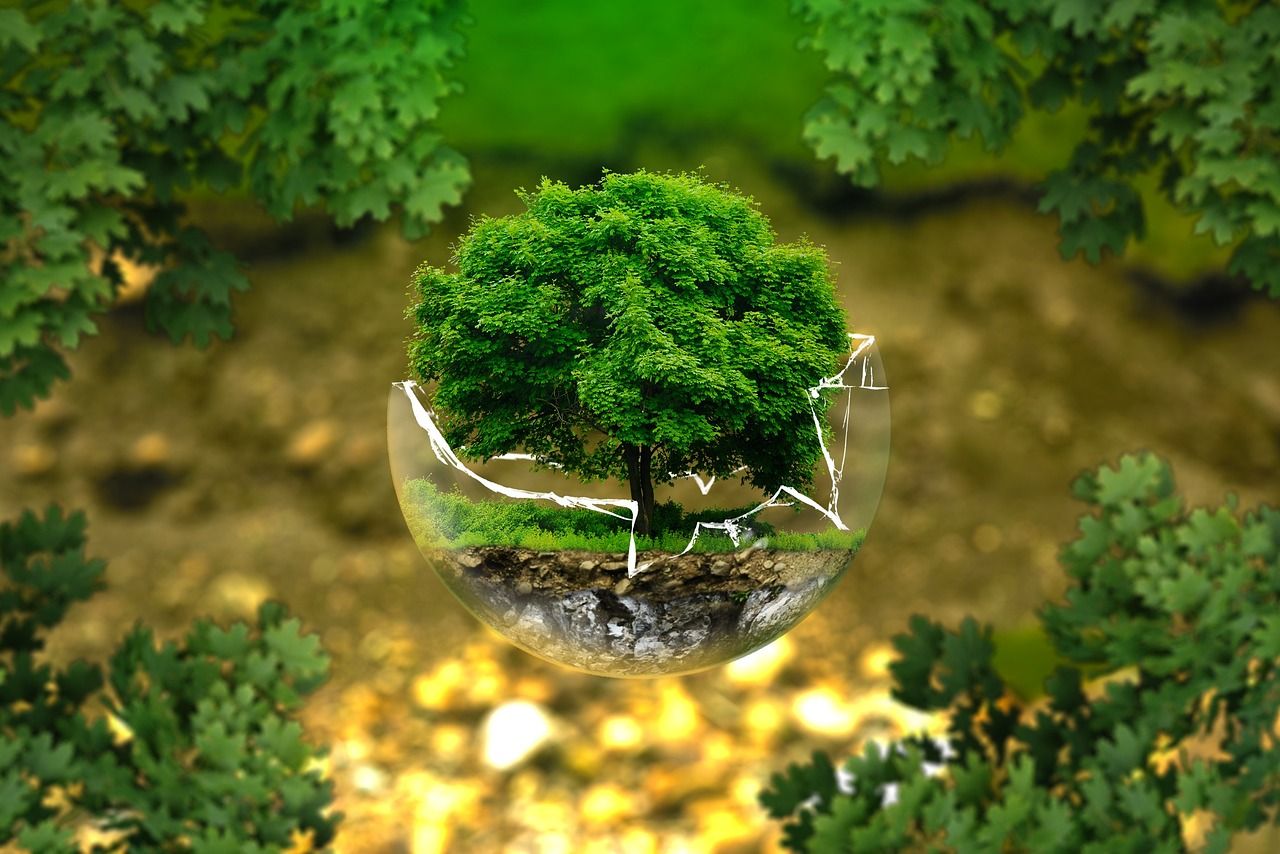 découvrez l'importance des droits environnementaux et leur impact sur la protection de notre planète. explorez comment ces droits garantissent un environnement sain pour les générations futures et soutiennent la durabilité.