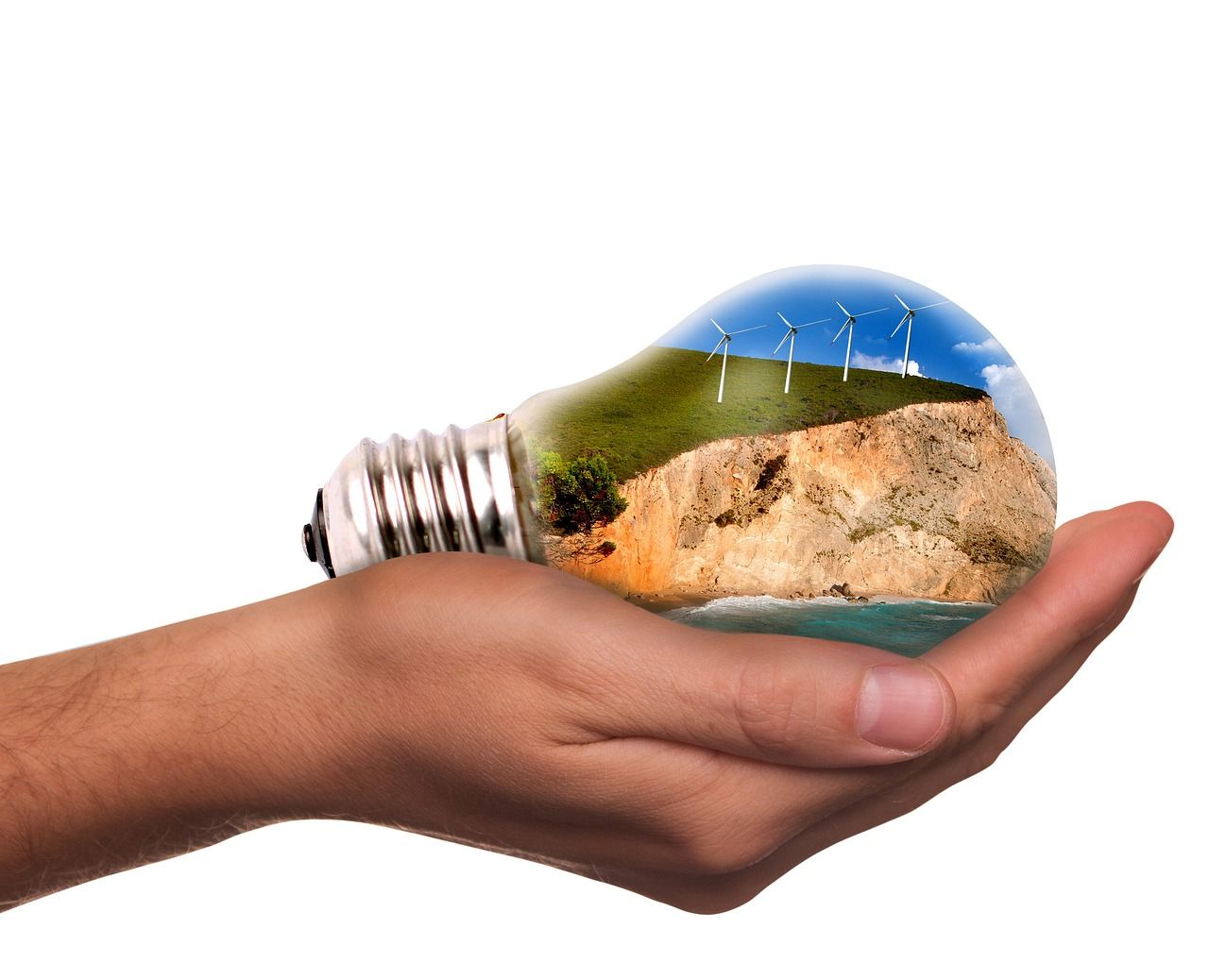 découvrez les enjeux et solutions de la transition écologique pour un avenir durable et respectueux de l'environnement.