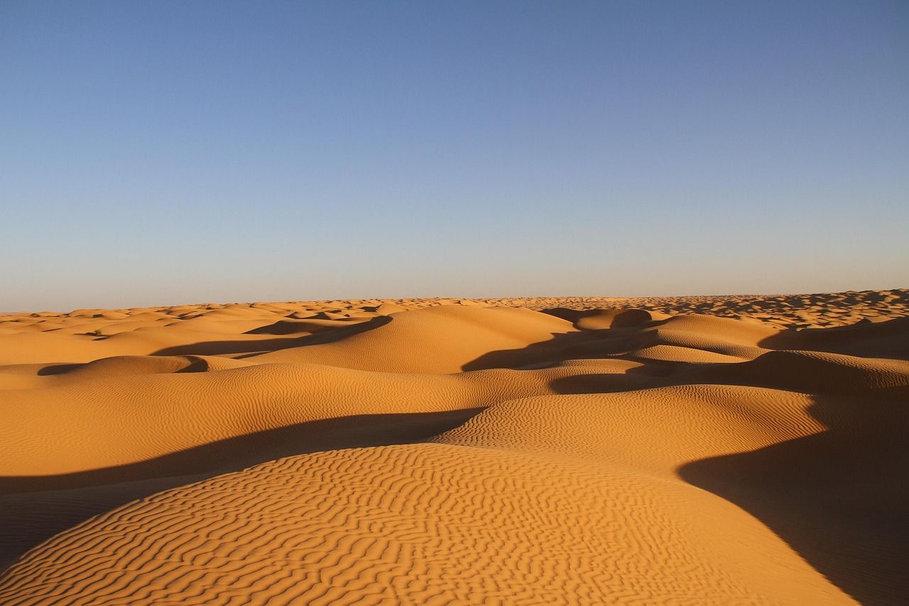 découvrez les initiatives et les défis de la transition écologique en tunisie pour un avenir durable et respectueux de l'environnement.