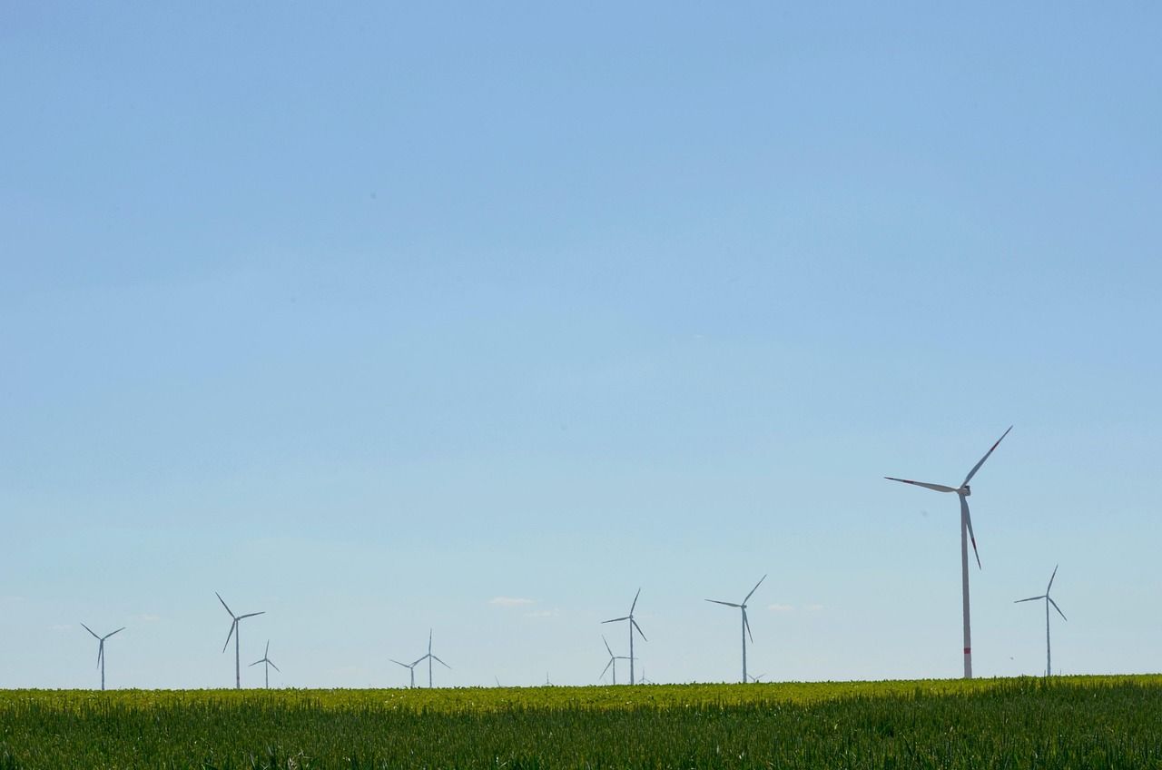 découvrez les enjeux et les actions clés de la transition écologique pour un avenir durable et respectueux de l'environnement.