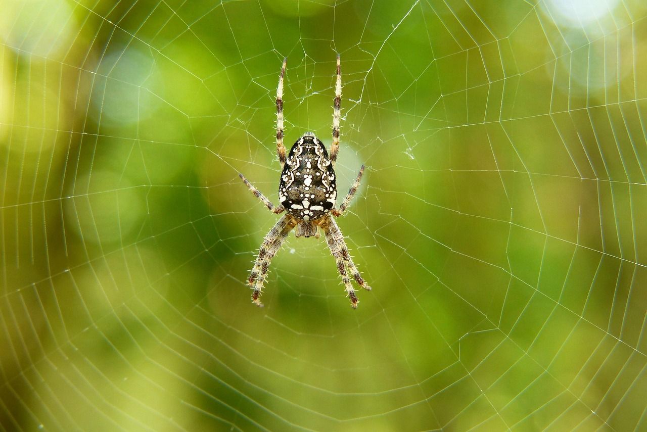 découvrez la douceur et l'élégance de la soie, un textile naturel prisé pour son confort et son allure raffinée.
