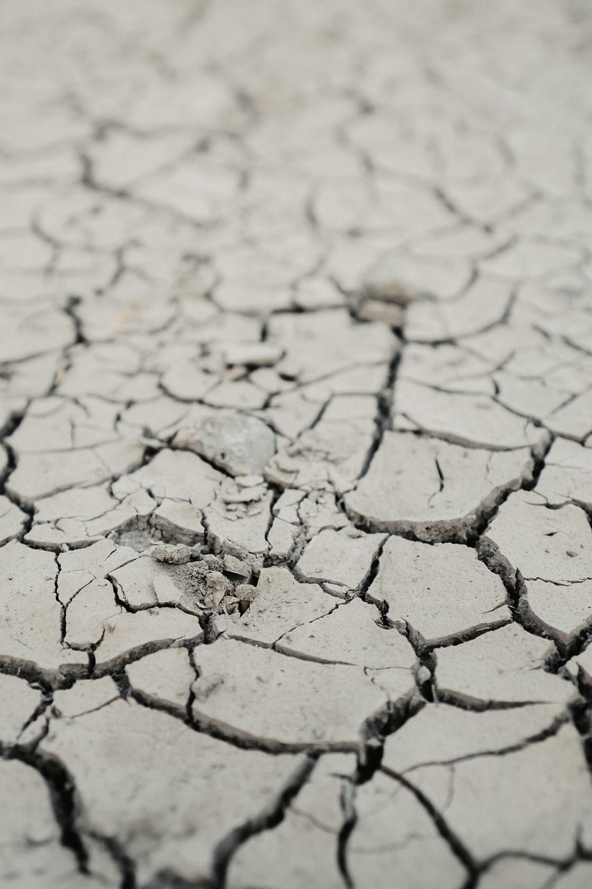 découvrez les causes, impacts et solutions face à la sécheresse, un phénomène climatique aux conséquences majeures sur l'environnement et l'agriculture.