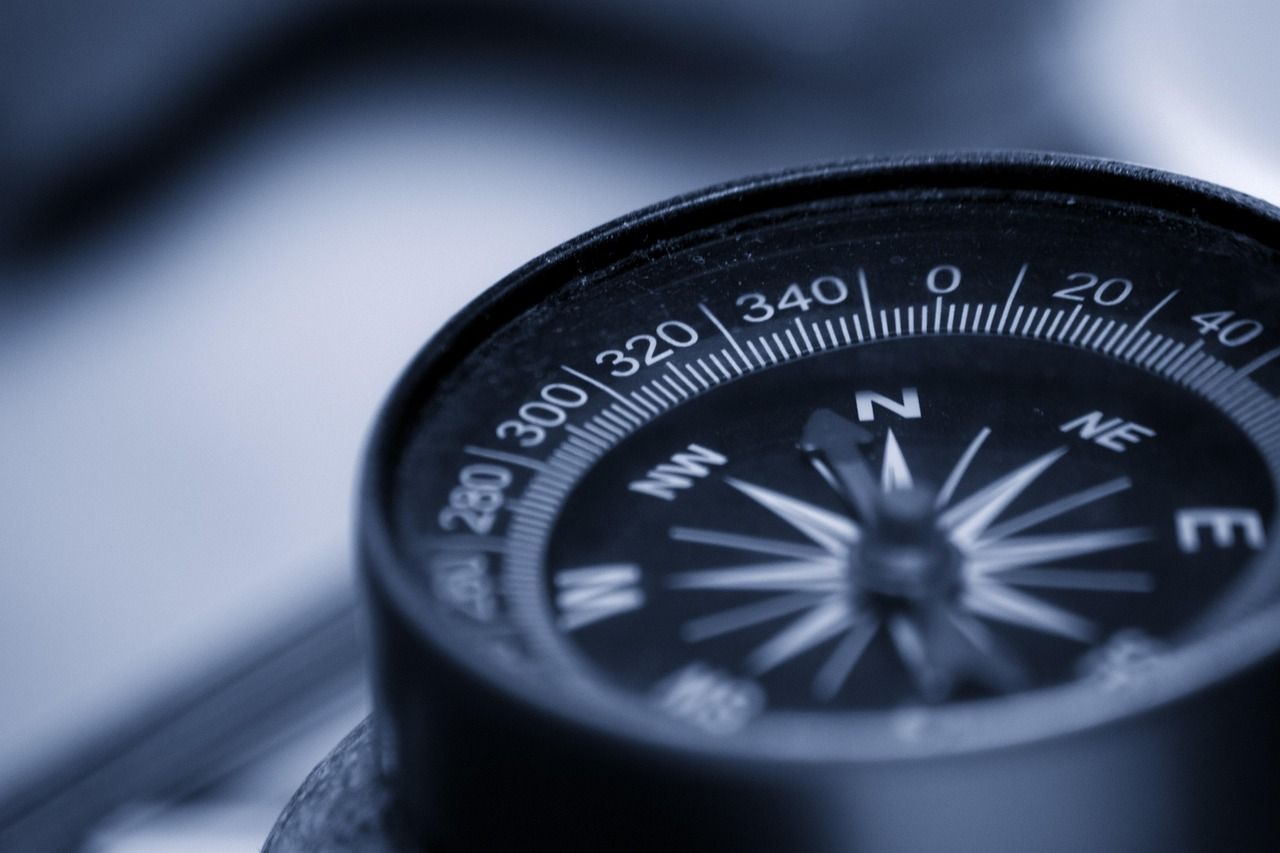 découvrez les stratégies et initiatives inspirantes en matière de leadership climatique pour un avenir durable et responsable.