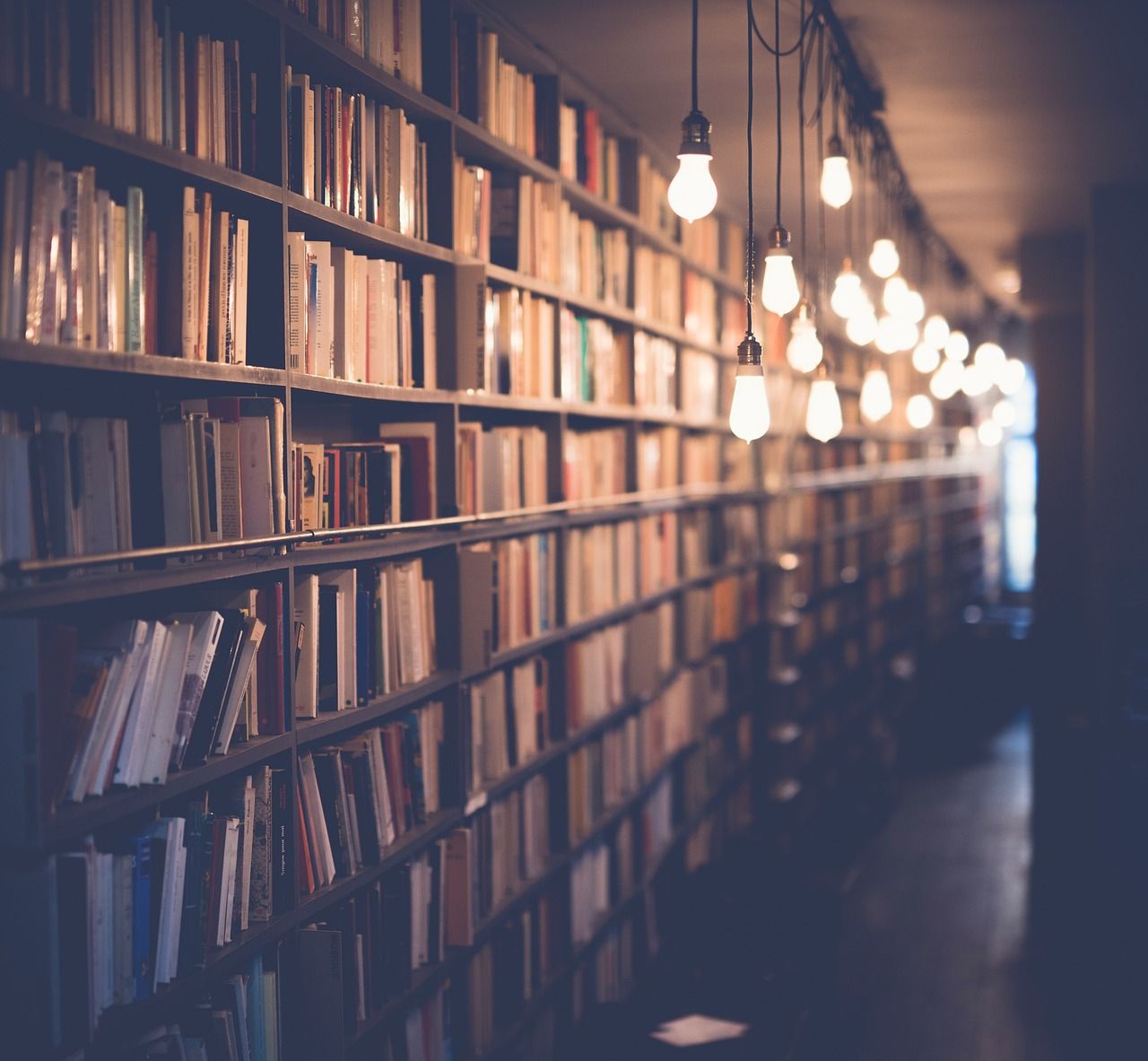découvrez l'éducation à l'environnement : ses principes, ses objectifs et son rôle essentiel pour sensibiliser et former les citoyens à la protection de la planète. apprenez comment elle favorise un avenir plus durable.