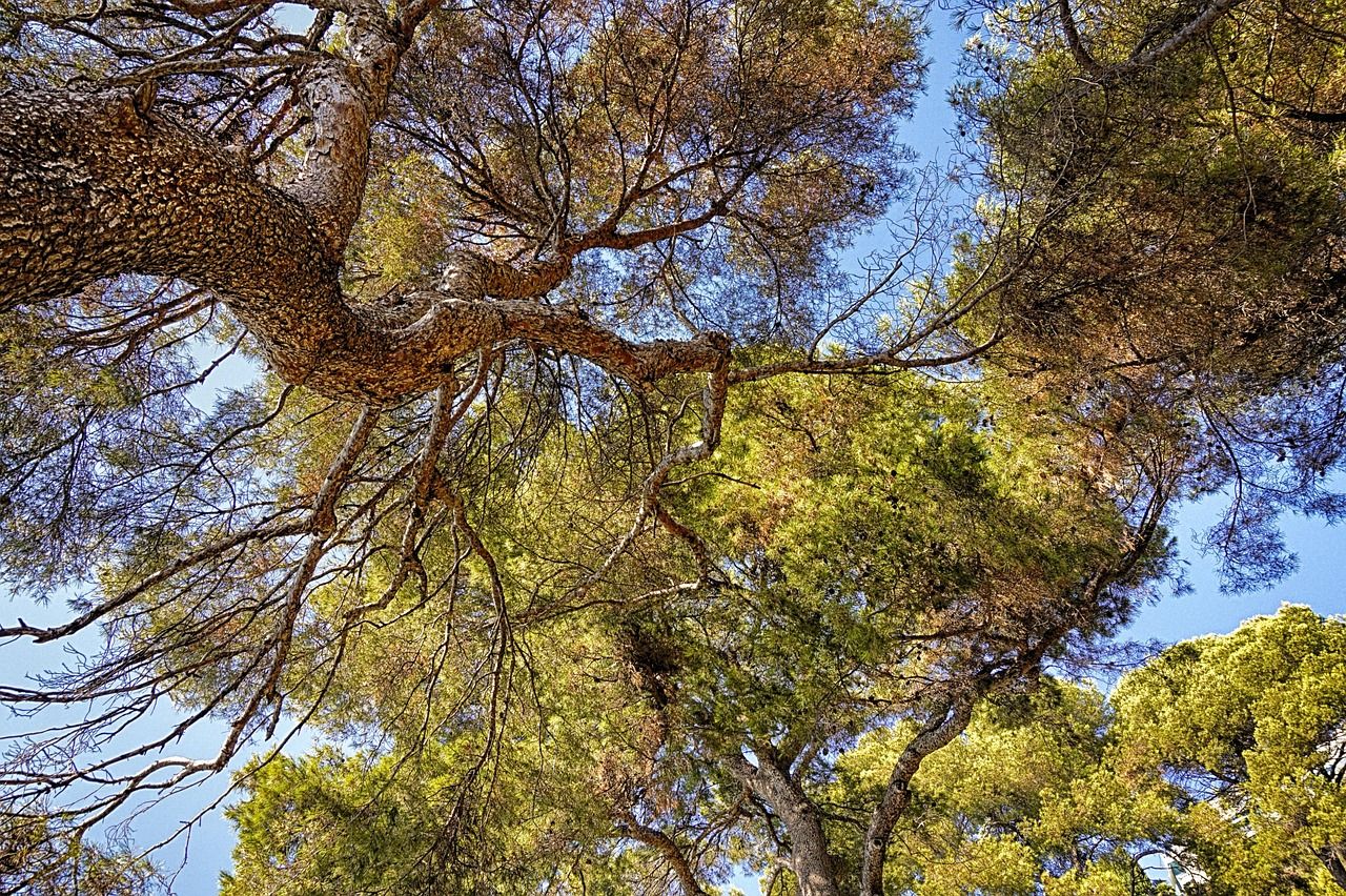 découvrez comment adopter une consommation durable pour réduire votre impact environnemental. des conseils pratiques et des astuces pour faire des choix responsables au quotidien.