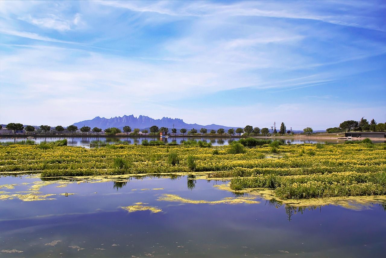 découvrez l'importance des réserves d'eau, leur gestion durable et leur rôle crucial dans la sécurité hydrique mondiale.