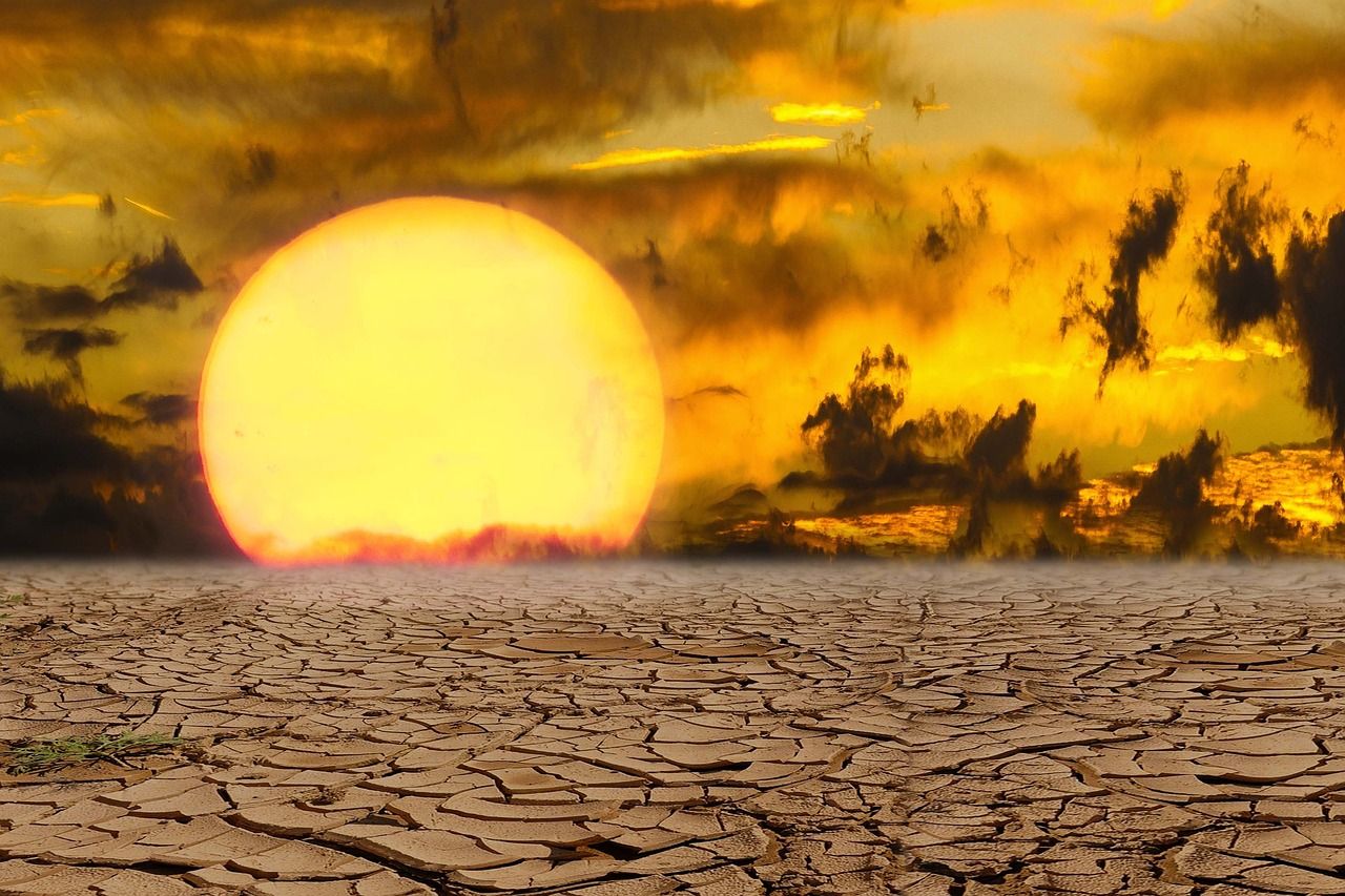 découvrez comment le changement climatique impacte la santé humaine, ses conséquences sur notre bien-être et les actions à entreprendre pour préserver notre avenir. informez-vous sur les défis environnementaux et leurs répercussions sur la santé publique.