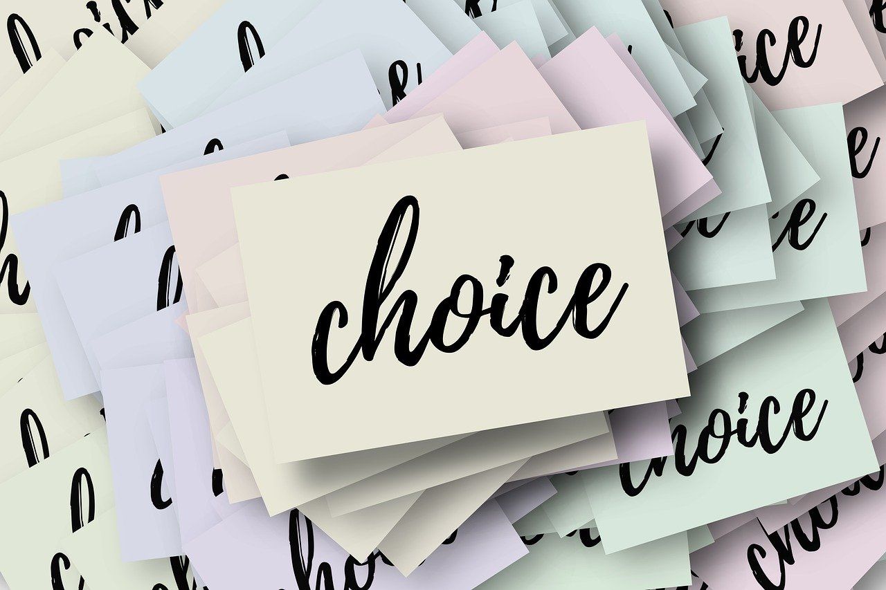 explorez les choix politiques et leurs impacts sur la société, la démocratie et les élections. comprenez les enjeux clés pour mieux participer au débat public.