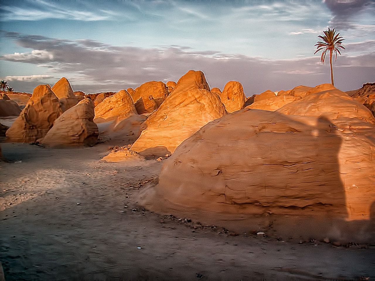 découvrez les initiatives et actions en tunisie pour une transition écologique durable, alliant développement économique et protection de l'environnement.