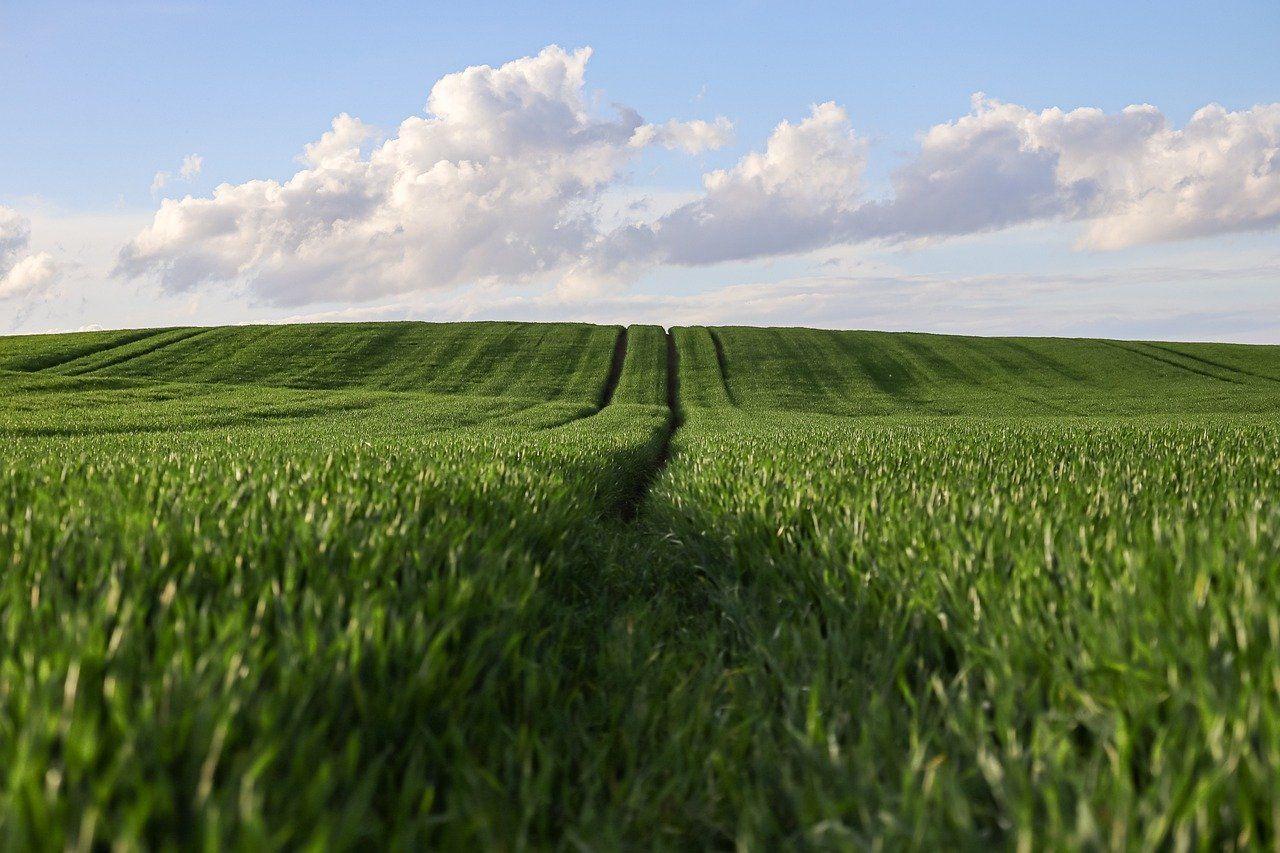 analyse des données agricoles : optimisez la production et la gestion des cultures grâce à des outils avancés d'analyse de données agricoles.