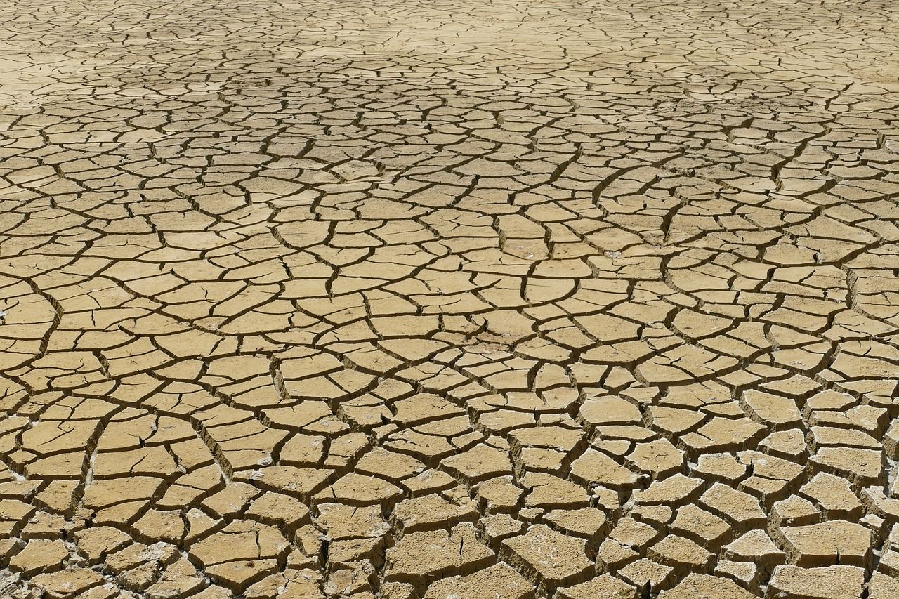 découvrez les enjeux du changement climatique, ses impacts sur notre planète et les actions essentielles à entreprendre pour préserver notre environnement. informez-vous sur les solutions durables pour faire face à ce défi mondial.