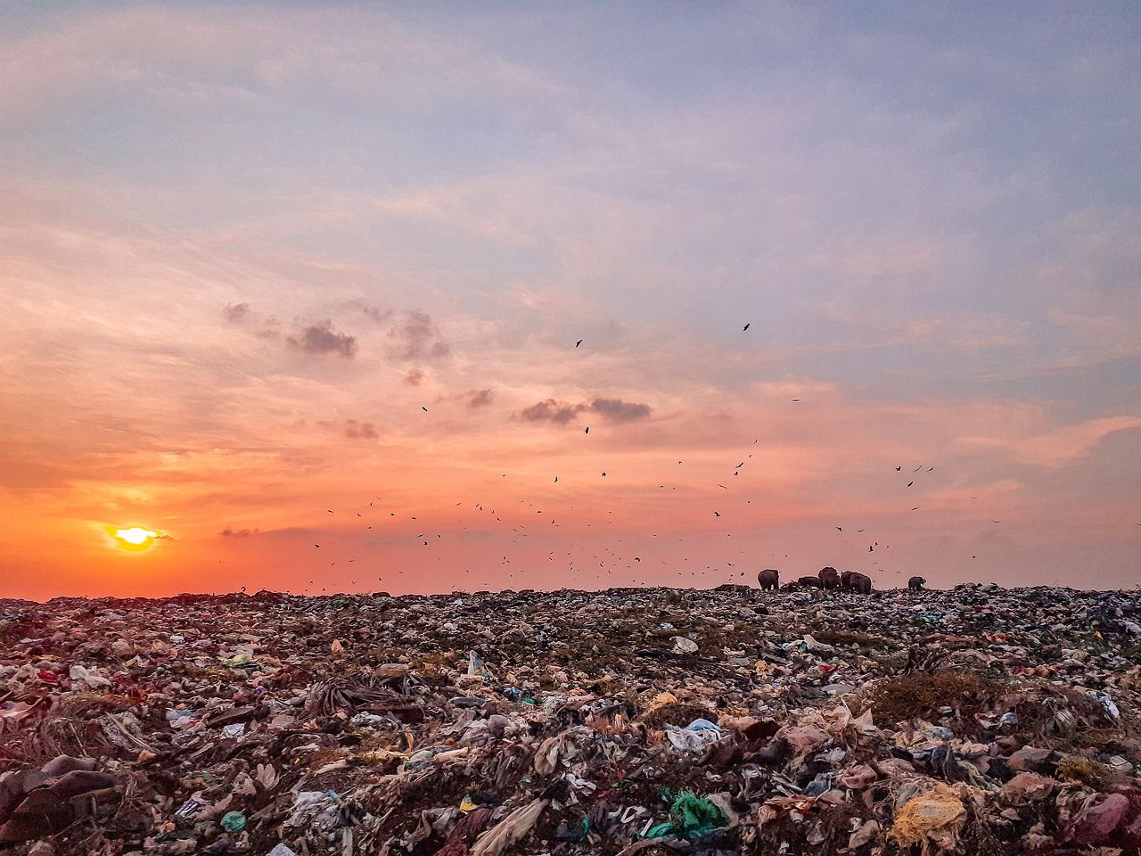 découvrez les meilleures pratiques et technologies pour le contrôle de la pollution. apprenez comment réduire l'impact environnemental et améliorer la qualité de l'air et de l'eau grâce à des solutions innovantes et durables.