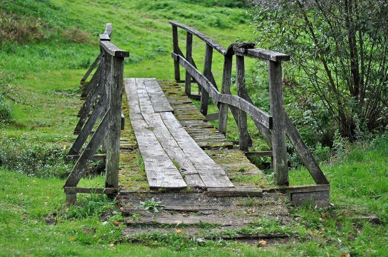 découvrez comment la transition écologique transforme notre société, favorise le développement durable et guide les initiatives pour un avenir respectueux de l'environnement.