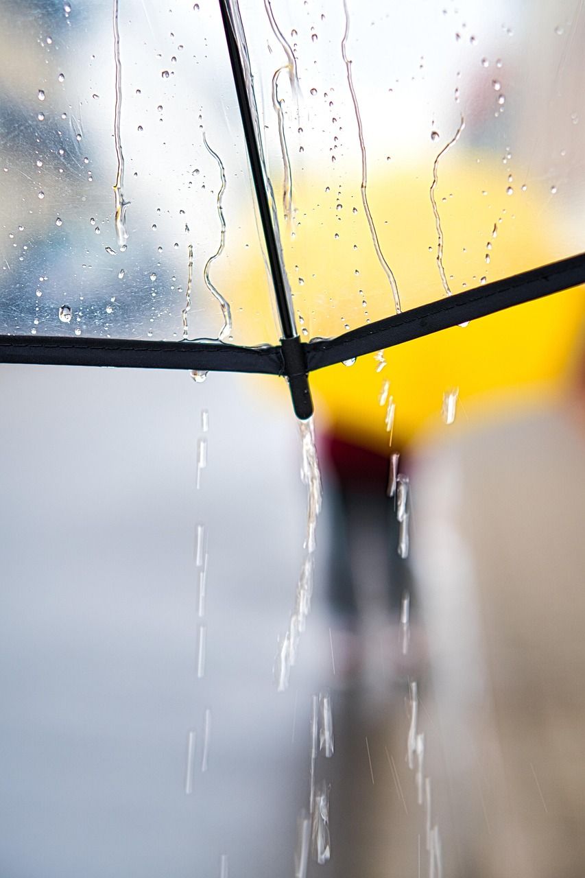 découvrez les dernières prévisions météo : températures, précipitations et conditions climatiques pour votre région. restez informé sur la météo d'aujourd'hui et des prochains jours.