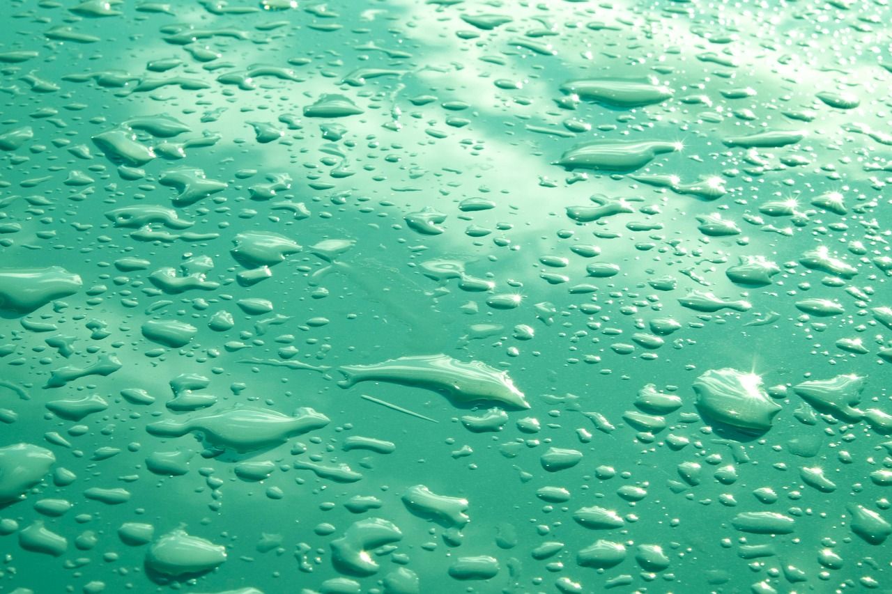 découvrez tout sur l'eau : ses propriétés, son importance pour la vie, et ses utilisations quotidiennes.