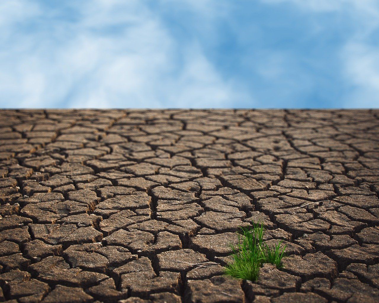 découvrez l'importance du climat et son impact sur notre planète. apprenez comment le changement climatique affecte notre environnement et explorez des solutions durables pour un avenir meilleur.