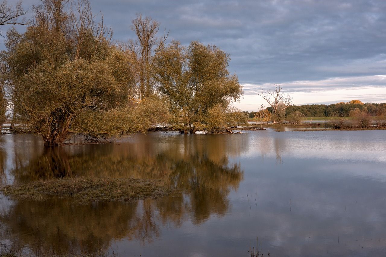 découvrez les causes et les conséquences des inondations, ainsi que les mesures préventives et d'urgence à prendre pour protéger votre maison et votre communauté. informez-vous sur la gestion des eaux et les solutions innovantes pour faire face aux risques d'inondation.