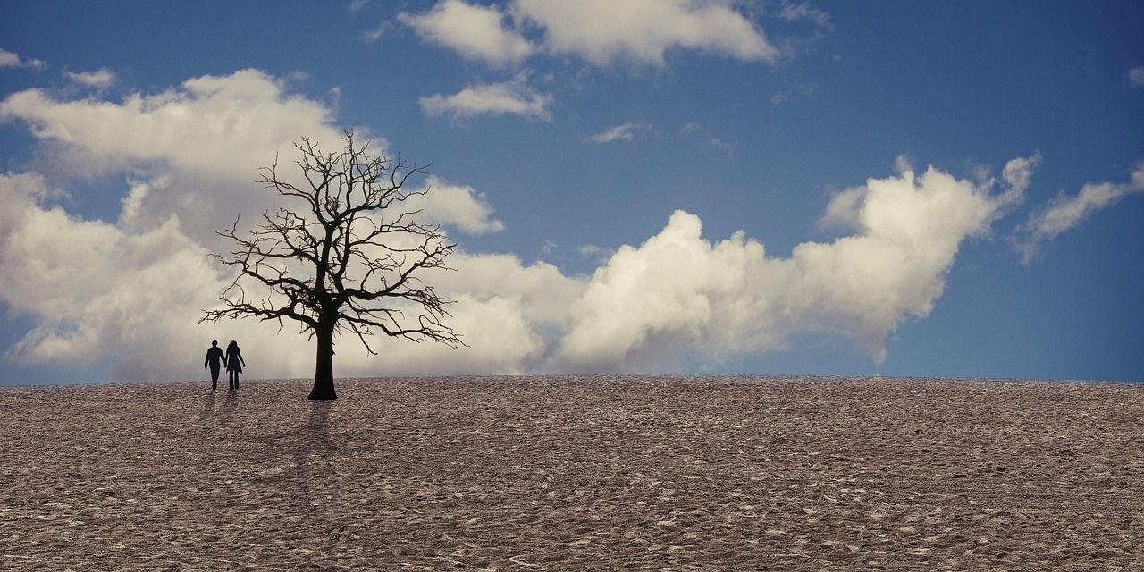 découvrez comment un plan climat efficace peut aider à lutter contre le changement climatique, réduire les émissions de carbone et promouvoir la transition vers une économie durable.
