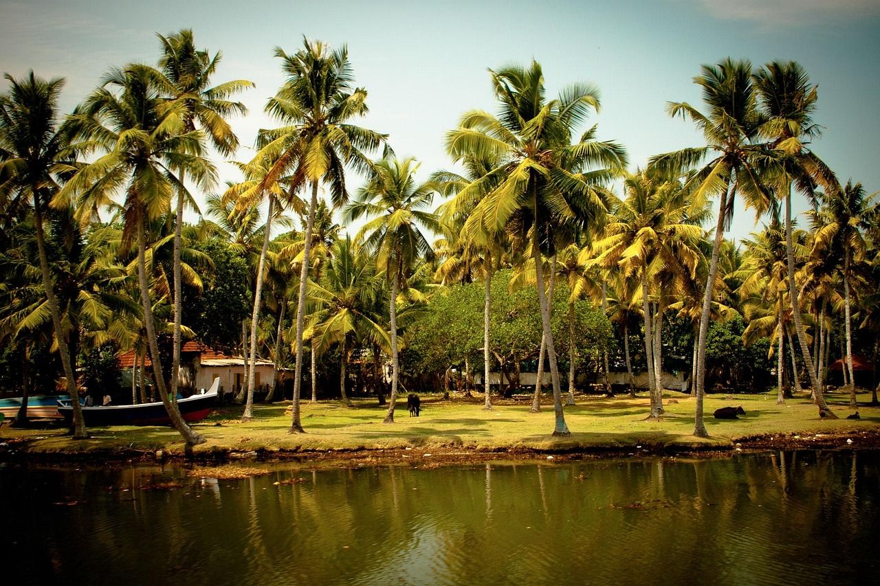 découvrez l'inde, un pays riche en culture, histoire millénaire et paysages variés, offrant une expérience unique entre traditions et modernité.