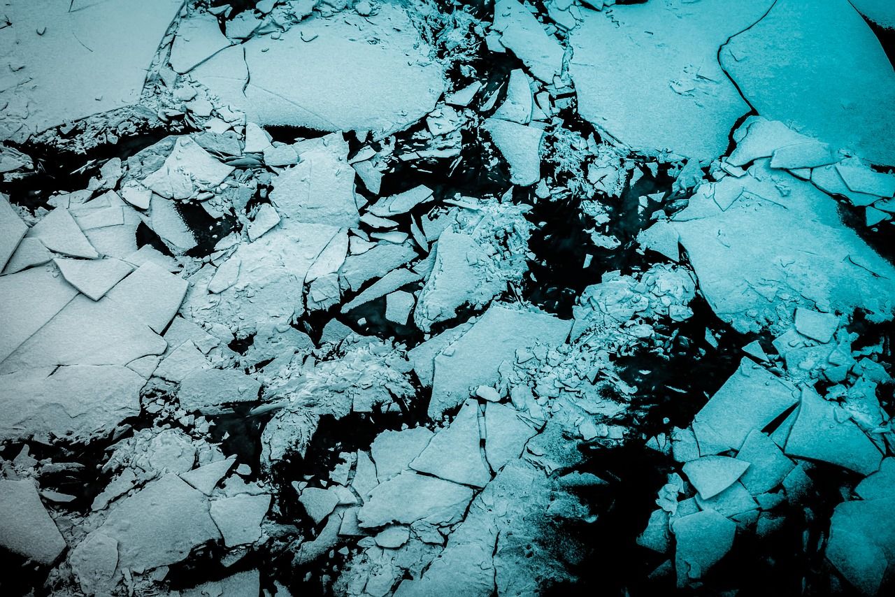 découvrez les principales menaces pesant sur la faune antarctique et les actions nécessaires pour protéger cet écosystème fragile.