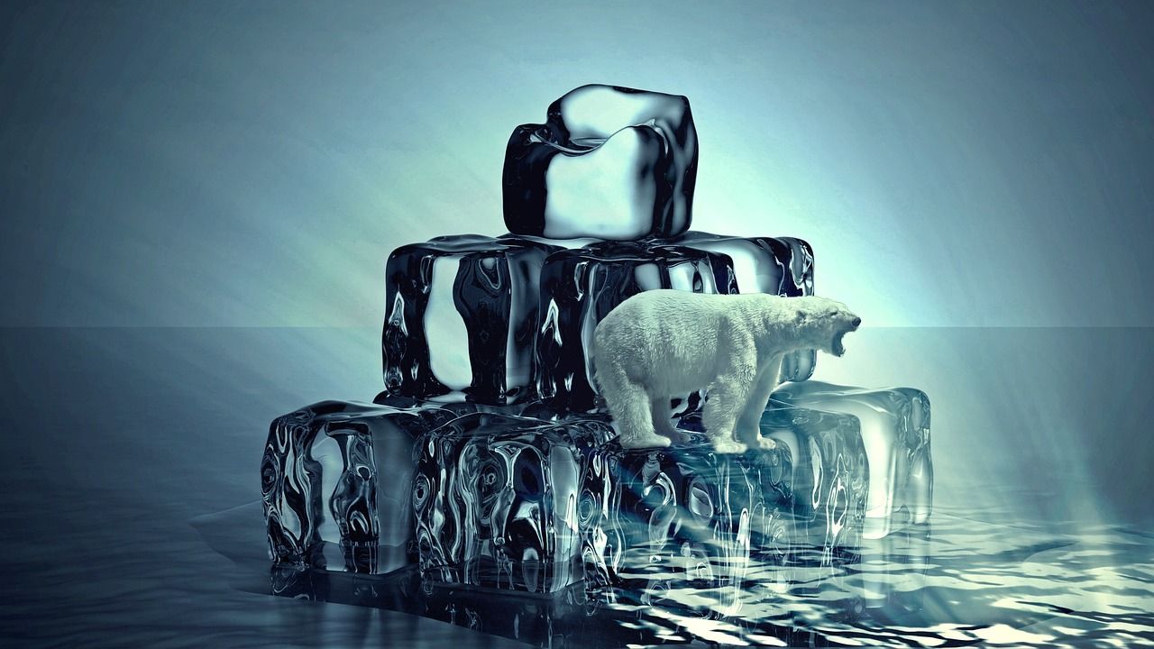 découvrez l'importance de l'éducation sur le changement climatique pour sensibiliser les générations futures. apprenez les enjeux environnementaux, les solutions durables et comment agir localement pour protéger notre planète.