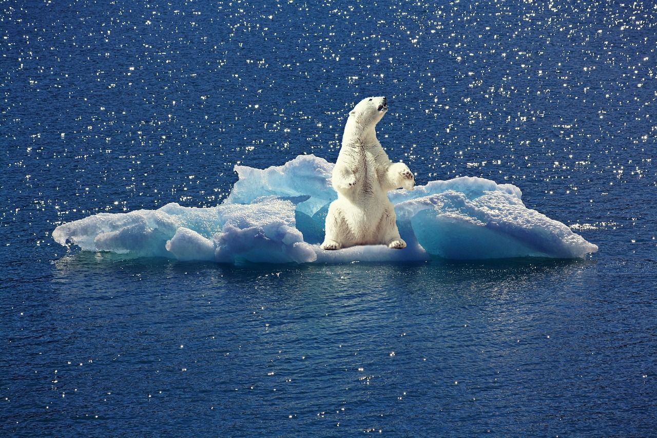 découvrez notre plan climatique territorial, une initiative stratégique visant à réduire l'empreinte carbone de notre région, promouvoir le développement durable et améliorer la résilience face aux changements climatiques. engagez-vous avec nous pour un avenir plus vert et équitable.