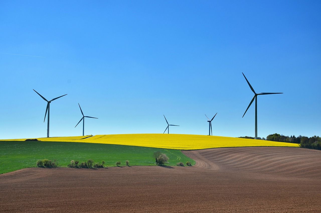 découvrez comment les entreprises durables transforment le paysage économique en alliant profitabilité et responsabilité environnementale. explorez des stratégies innovantes et des exemples inspirants qui montrent que le succès économique peut rimer avec durabilité.