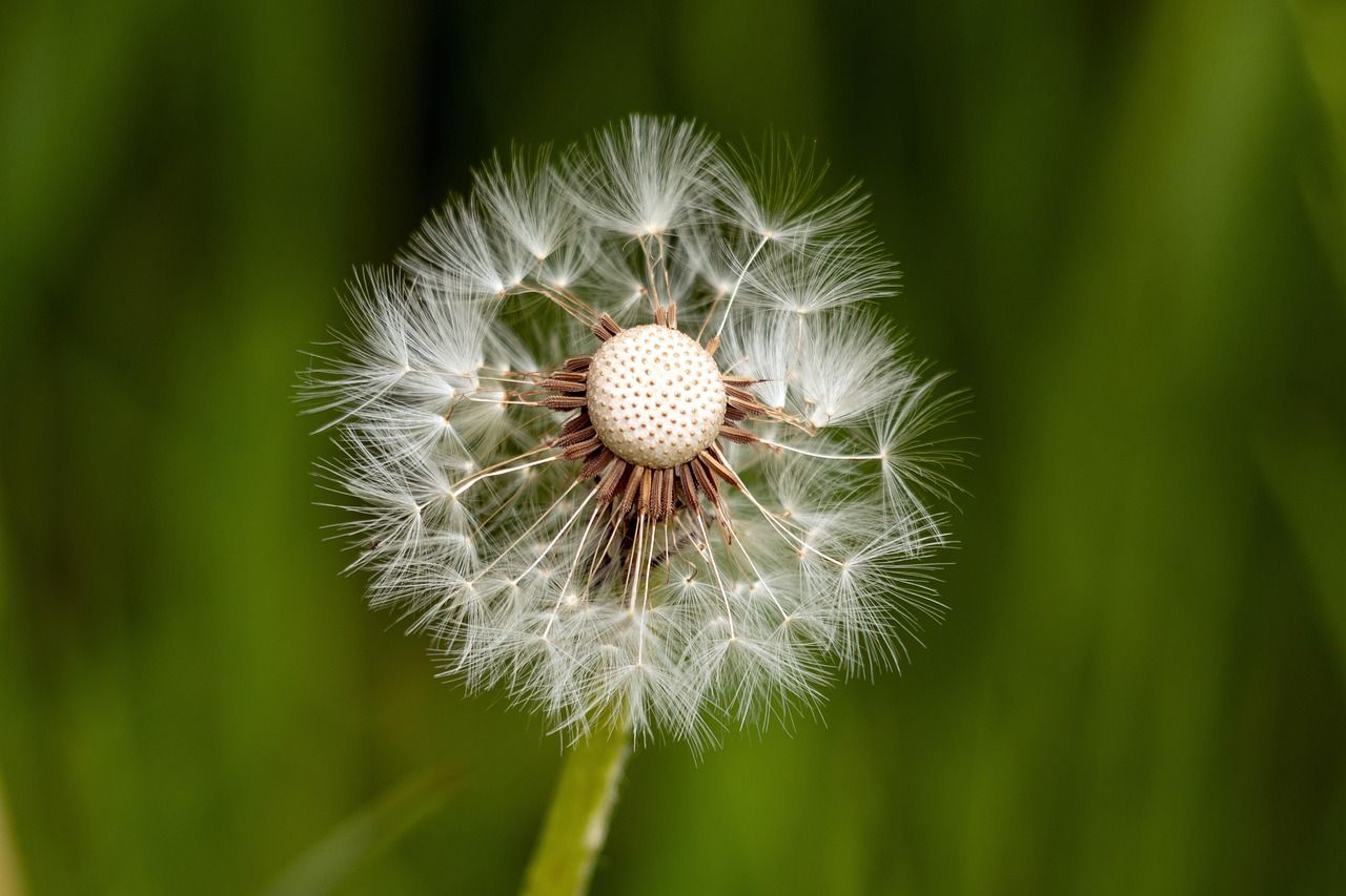 découvrez la résilience, cette capacité à surmonter les difficultés et à rebondir face aux épreuves de la vie. conseils, témoignages et ressources pour renforcer votre force intérieure.