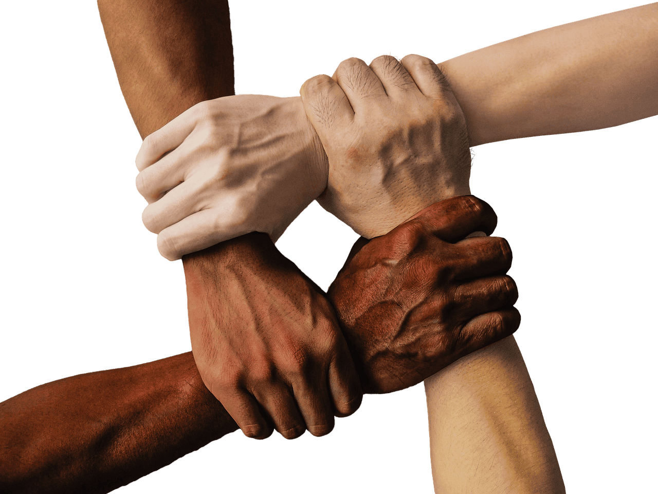 découvrez l'importance du développement communautaire, un processus visant à améliorer la qualité de vie et à renforcer les réseaux sociaux au sein des collectivités. apprenez comment des initiatives locales peuvent favoriser la collaboration, l'inclusion et la durabilité pour bâtir des communautés plus fortes et résilientes.