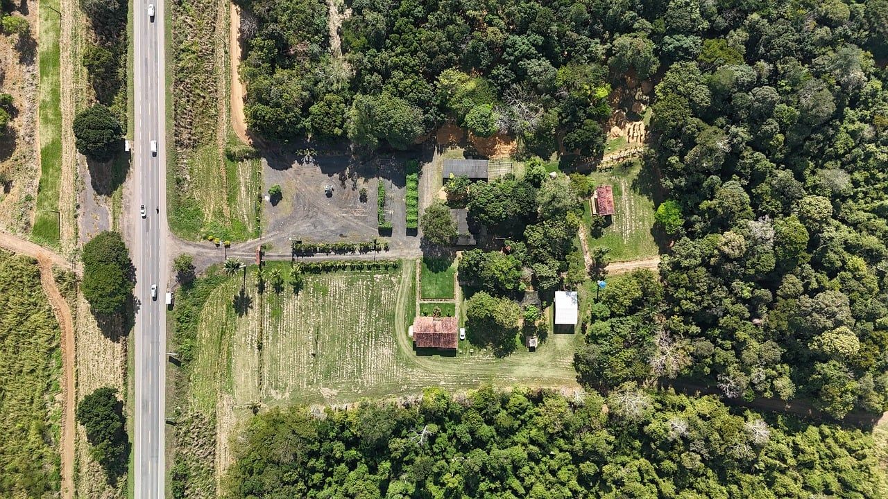 découvrez l'éducation environnementale : sensibilisation, protection de la nature et actions durables pour un avenir responsable.