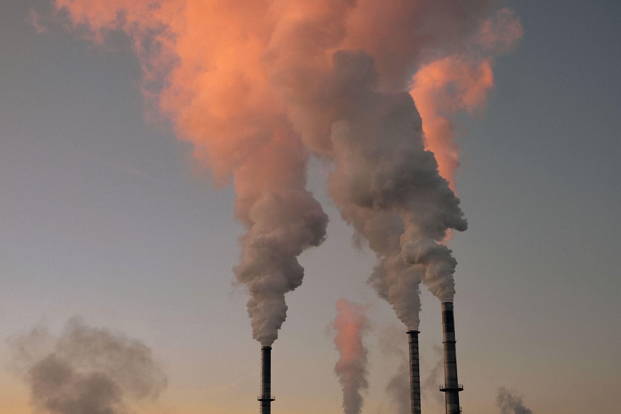 découvrez l'importance de l'environnement, ses enjeux actuels et les actions pour préserver notre planète durablement.