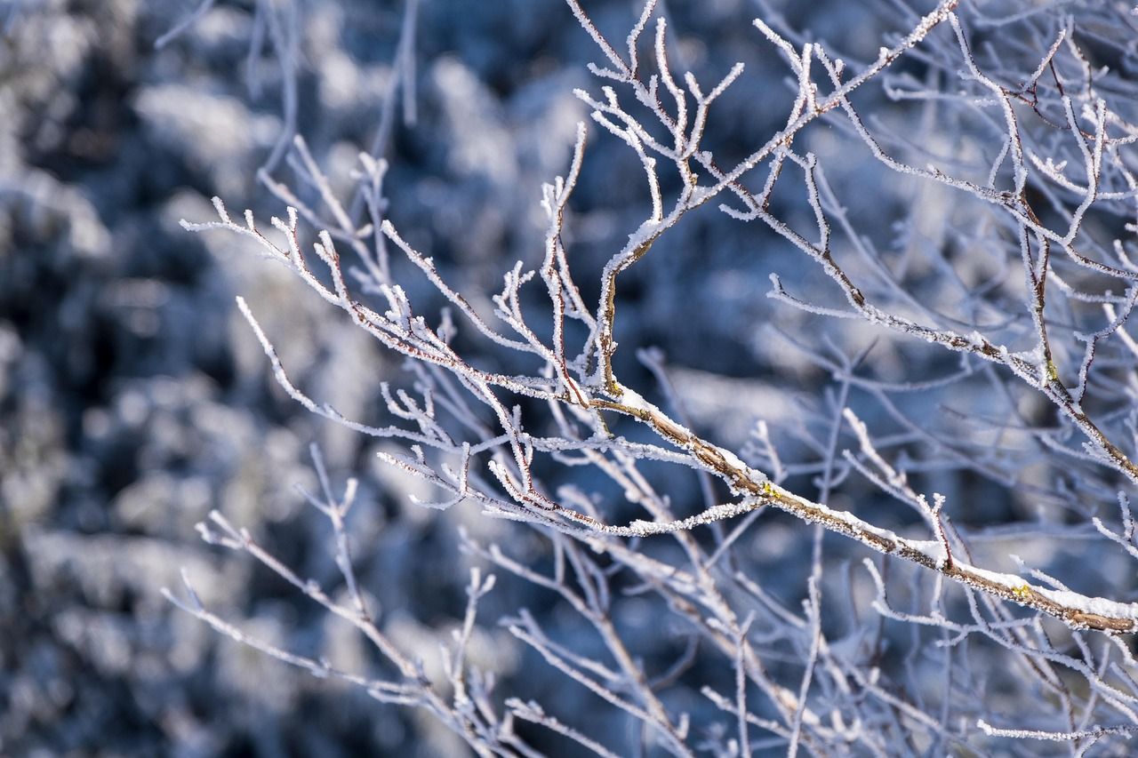 découvrez nos conseils pratiques pour mieux vous préparer aux conditions hivernales : sécurité, prévention et astuces pour affronter le mauvais temps en hiver.
