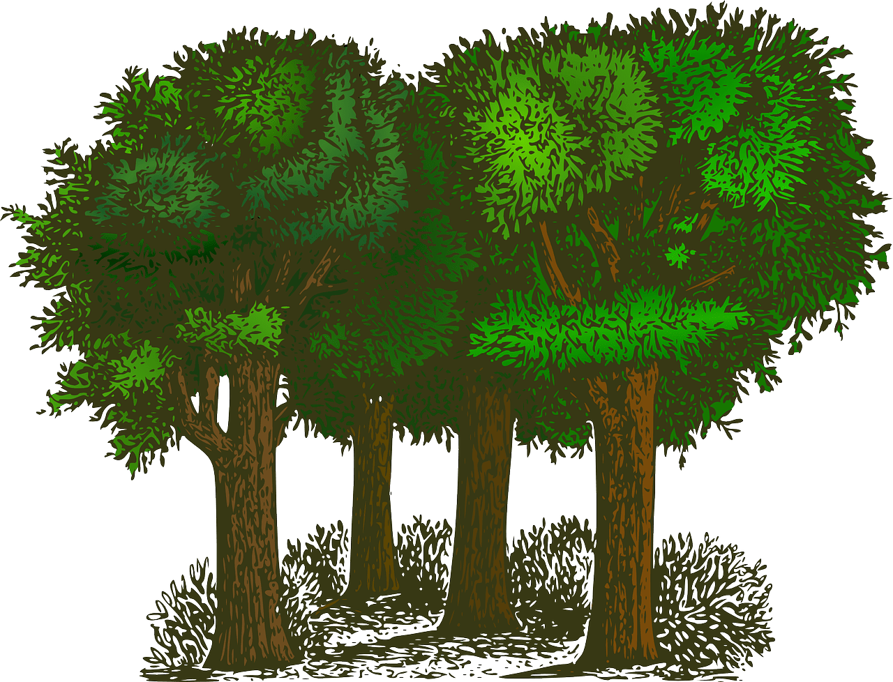 découvrez le monde fascinant de l'écologie, explorez les interactions entre les organismes et leur environnement, et apprenez comment préserver notre planète pour les générations futures. plongez dans les enjeux contemporains et les solutions durables pour protéger notre écosystème.