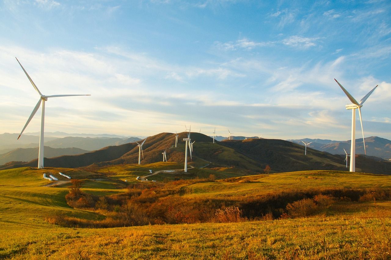 découvrez les solutions d'énergie durable pour un avenir respectueux de l'environnement, alliant innovation, efficacité et réduction de l'empreinte carbone.