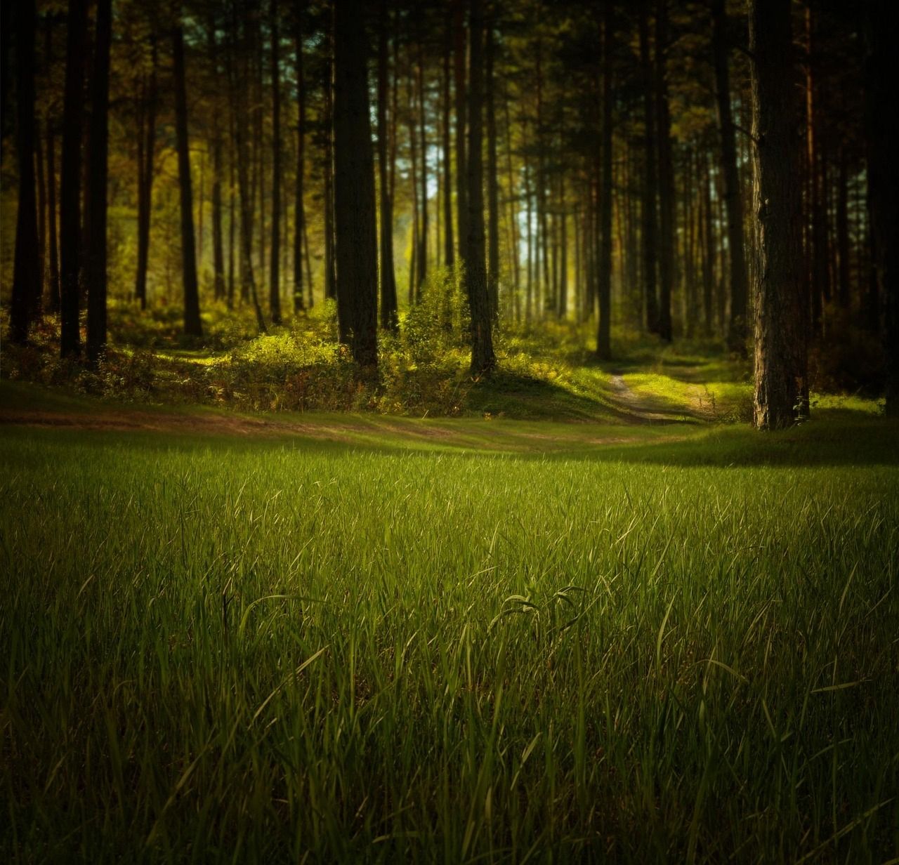 g7 environment : expert en gestion durable de l'environnement, proposant des solutions innovantes pour la protection et la valorisation des ressources naturelles.