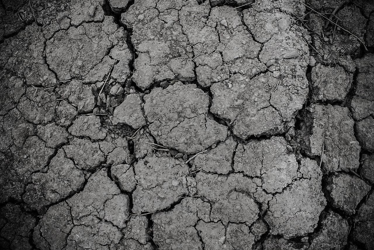 découvrez les causes, les impacts et les solutions face à la sécheresse, un phénomène climatique majeur affectant l'environnement et l'agriculture.