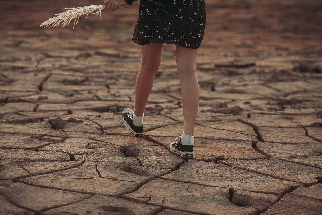 découvrez comment lutter contre la désinformation sur le changement climatique et sensibiliser le public aux vérités scientifiques.
