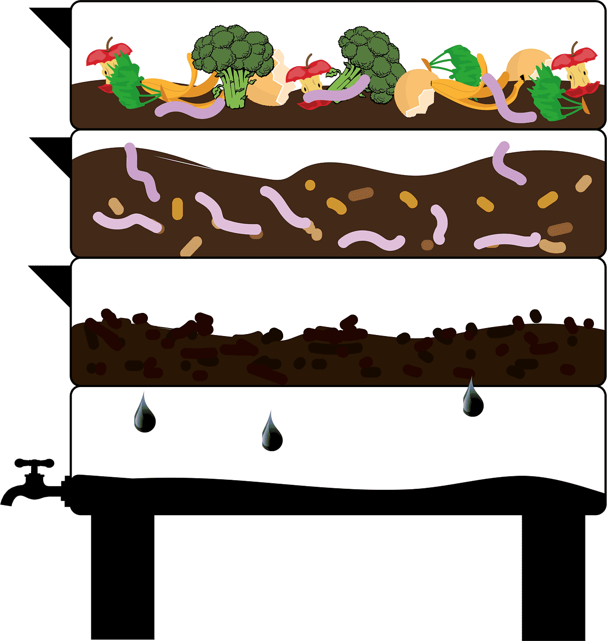 découvrez le vermicompostage, une méthode écologique de compostage avec des vers de terre pour enrichir naturellement votre sol et réduire vos déchets organiques.