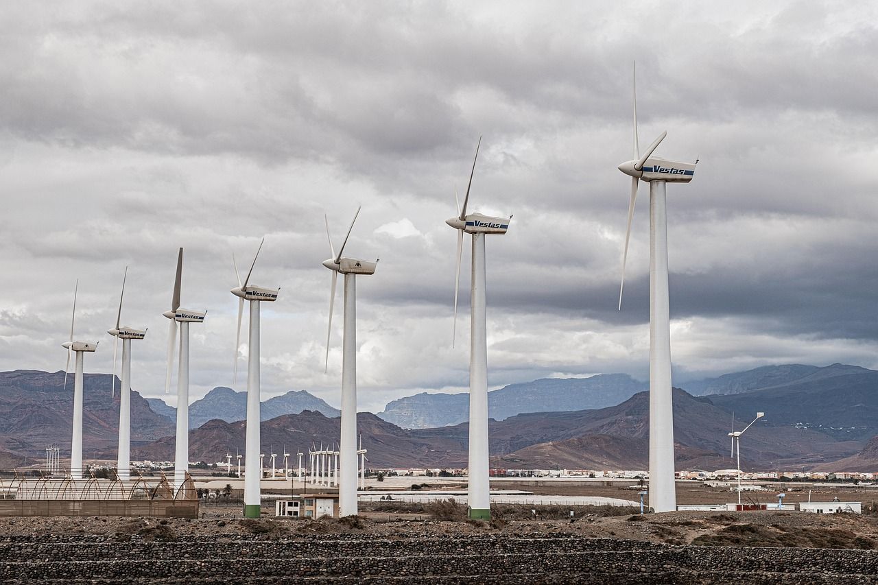 découvrez l'importance de la transition écologique pour un avenir durable, favorisant la protection de l'environnement et le développement responsable.
