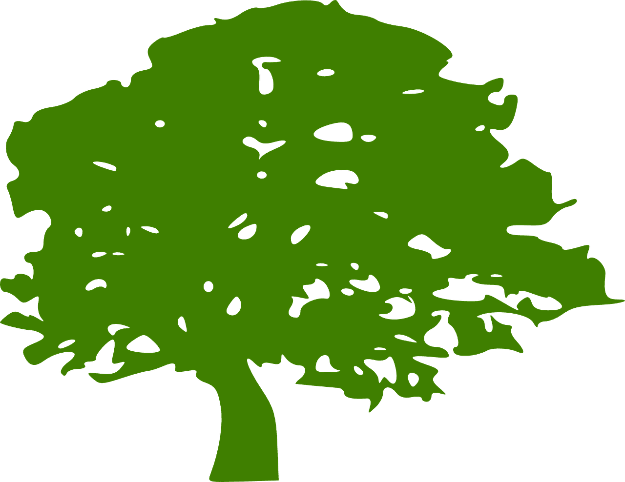 découvrez des solutions éco-responsables et des produits durables qui préservent notre planète. adoptez un mode de vie respectueux de l'environnement grâce à nos conseils pratiques et à nos recommandations d'articles éthique.